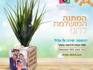 עציץ OSB בגודל 10-10 ס"מ